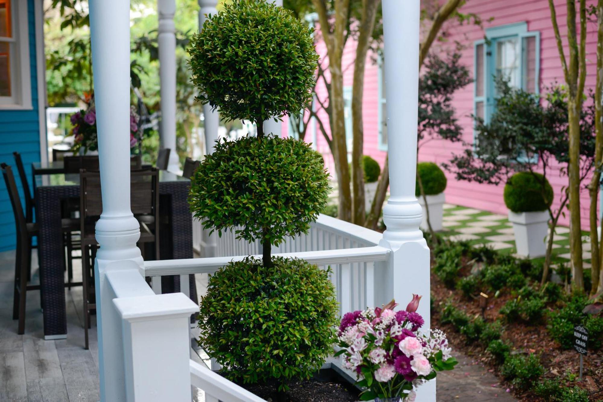 Villa 4 Bedroom - Sleeps 8! Location Next To Bourbon Street! *